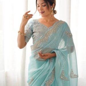 Embellished, Embroidered Bollywood Organza Saree #45